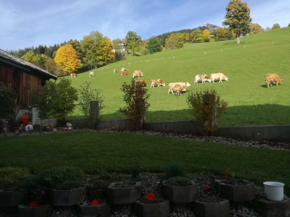 Haus Bergfried Leilighet Filzmoos Eksteriør bilde
